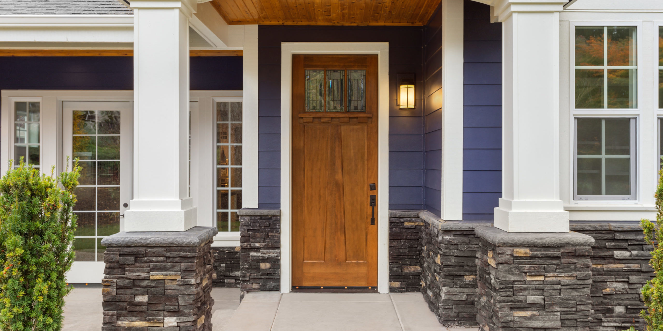 Security Door